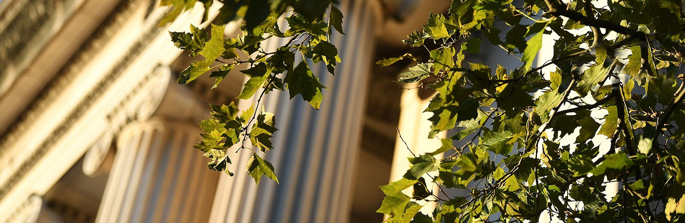 Low Library with greenery